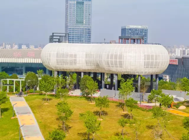 梦幻花海、空中走廊.. 深圳北站中心公园开园啦！