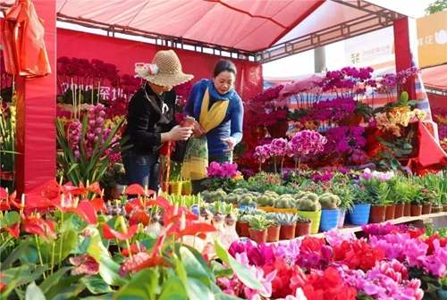 020大鹏迎春花市时间地点公布，今年还有新玩法！"