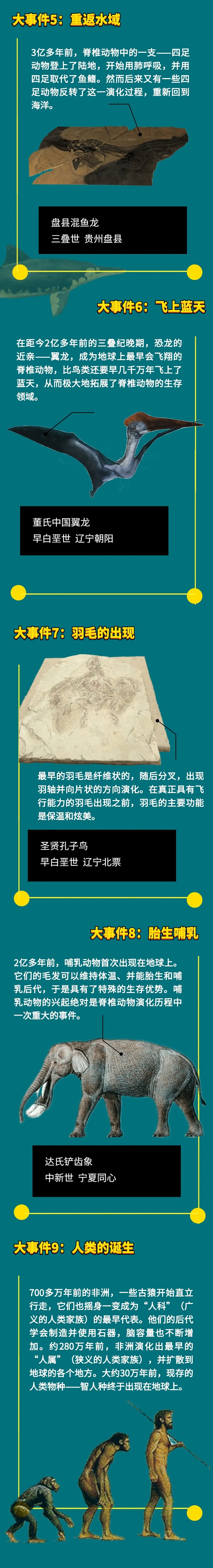 【深圳博物馆】征程——从鱼到人的生命之旅