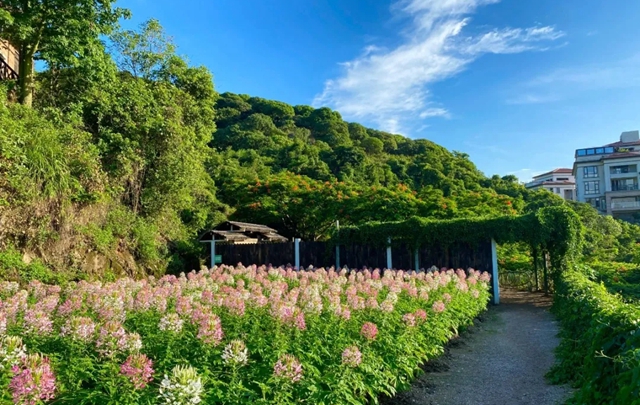 【深圳·青青世界】49.9元抢80元青青世界『节后错峰出游成人票』；带上家人与有趣的春日森林来个约会~