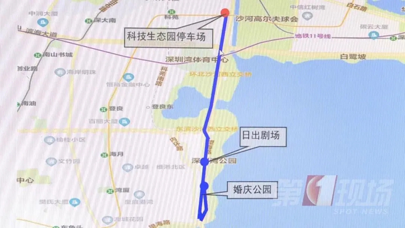 深圳湾公园停车“一位难求”？6000多个停车位安排上了！