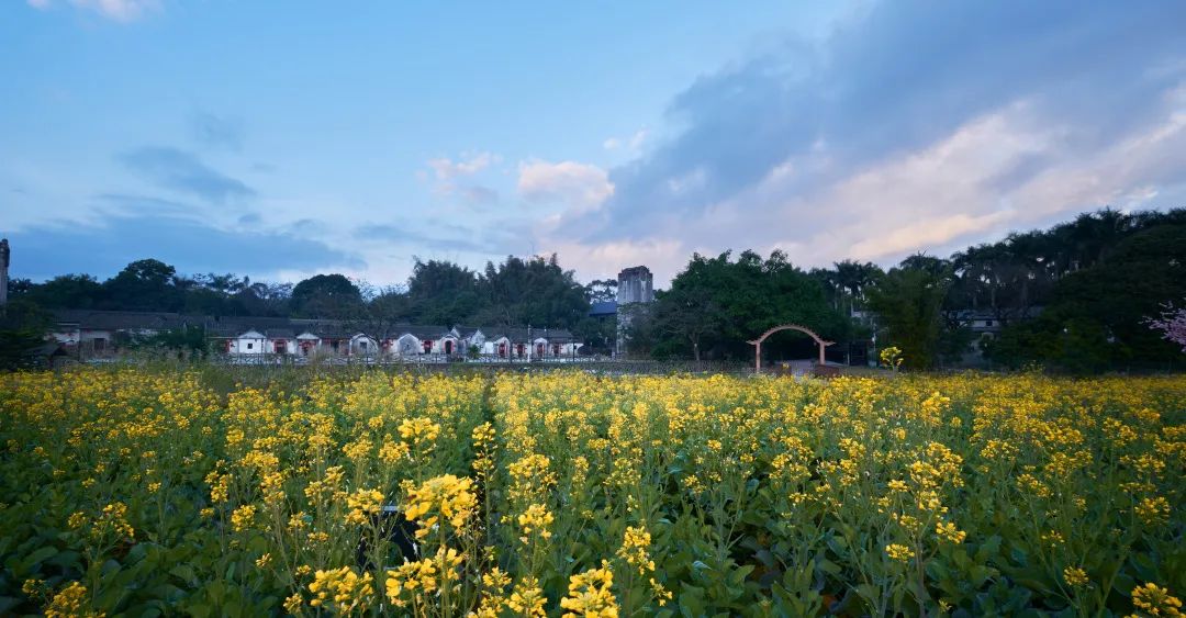 花已开，春正好