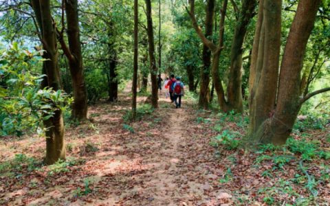 惠州博罗站20公里徒步，带大家走进静谧的原始森林，寻找“绿野仙踪”，现已开始报名了！