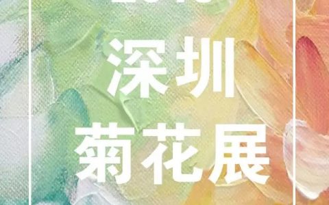2019深圳菊花展唯美开幕，11月26日-12月10日（共15天）！