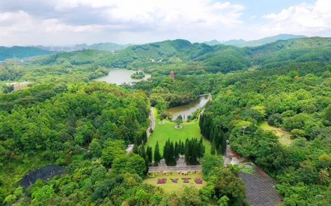 春节限流！想去仙湖植物园祈福赏花的，记得提前预约购票！