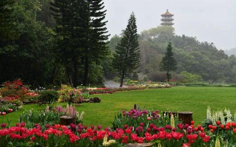 深圳仙湖植物园恢复开园，需提前线上购票，每天限额入园