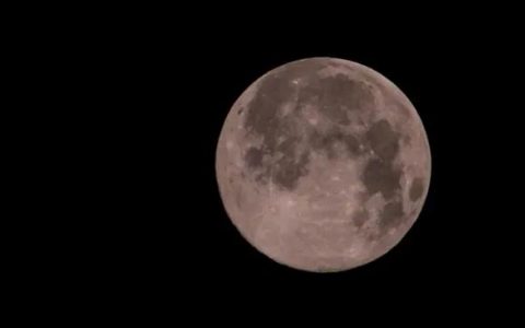 今年最大“超级月亮”来了！三个时间段最适合观赏