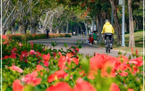 【深圳5月花历】立夏已过，花开更繁，来公园赏花吧