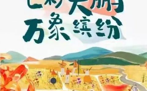 深圳公园文化季菊花展大鹏分会场云上见！