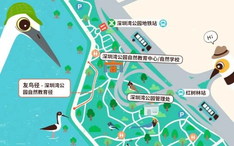 2022深圳观鸟季来啦，周末来观鸟——候鸟的奇妙旅行-深圳湾站