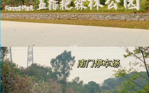 深圳新晋熊猫公园免费遛娃快打卡‼️