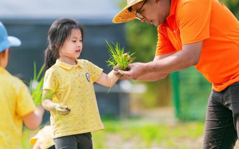 【春游】爆款线路 7+1主题系列，幼小初春游路线可太全面了！快收藏！