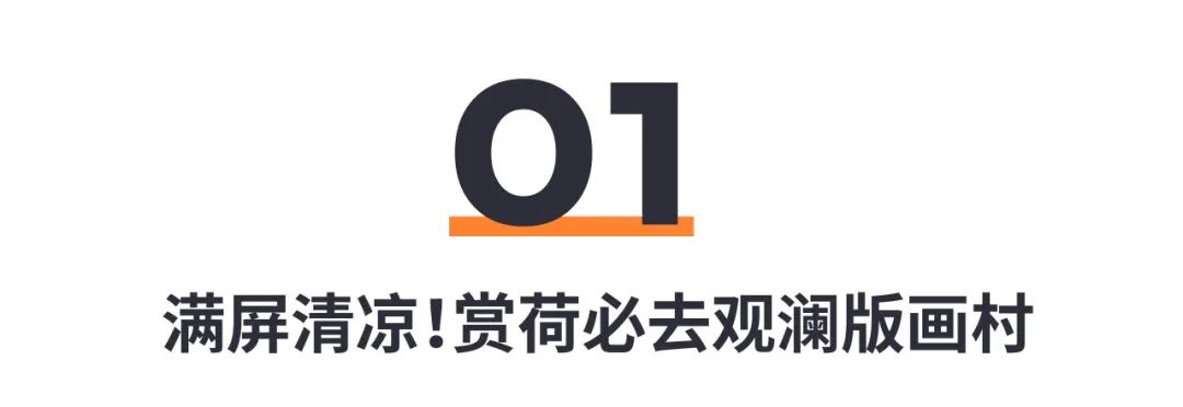 再不去就晚了！龙华「百亩荷花」限时开放