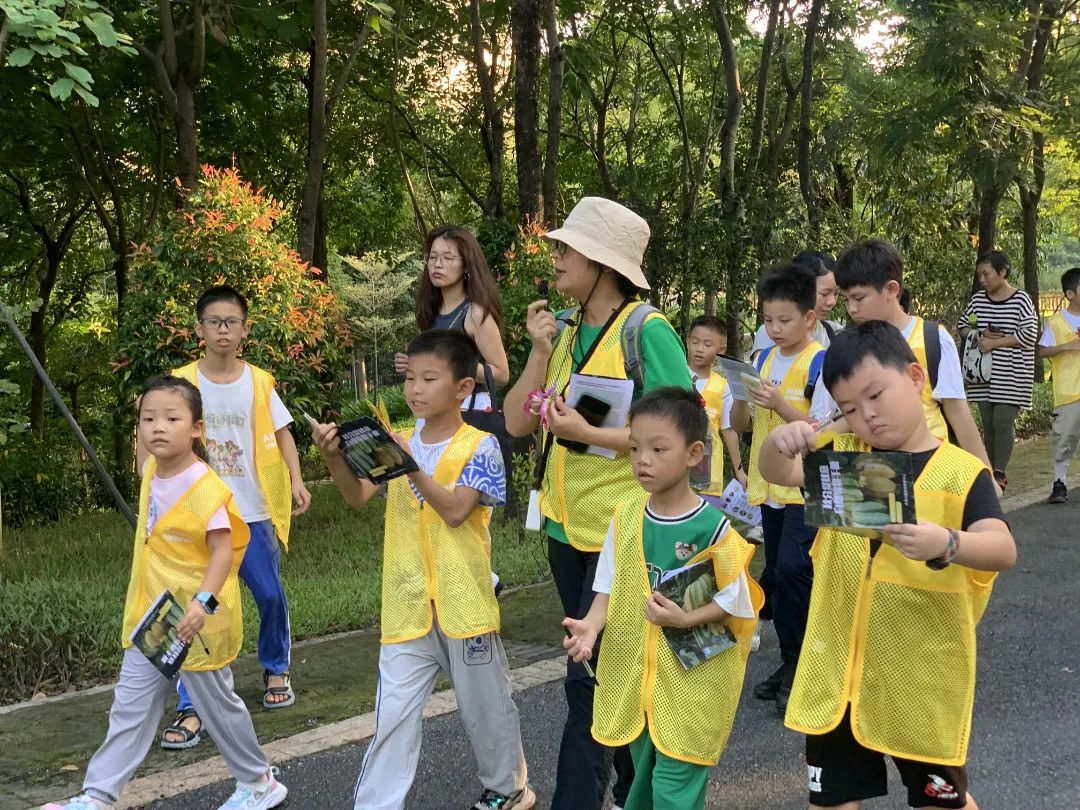 龙岗又添新自然教育中心啦！来一场公园walk，一起“趣”自然~