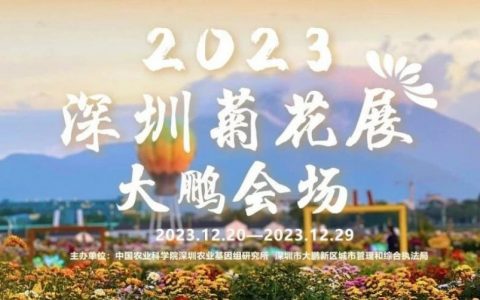2023深圳菊花展，24万株菊花等你来赏~~