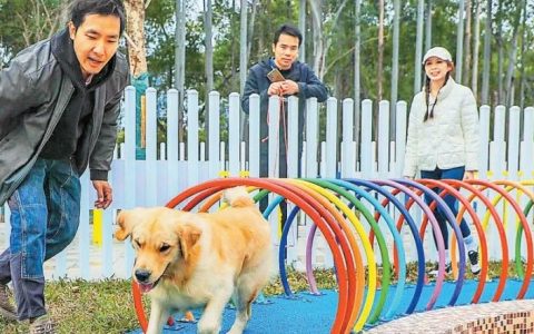 深圳最大宠物公园即将开放！