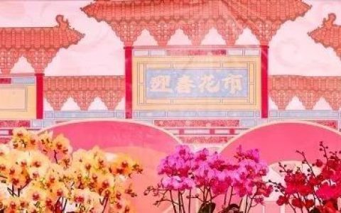 2024福田迎春花市 | 与“花”联手，新年就要“龙里龙气”！