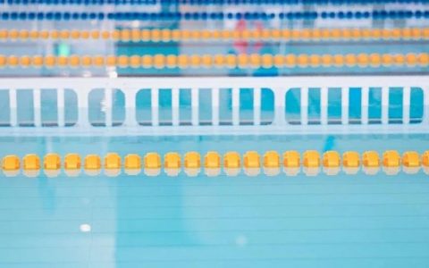 【免费培训】龙华文体中心2024年第一期游泳公益培训开启报名啦~