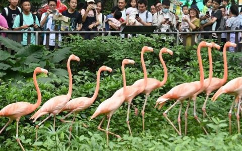 全国多个景区对中、高考学子免门票