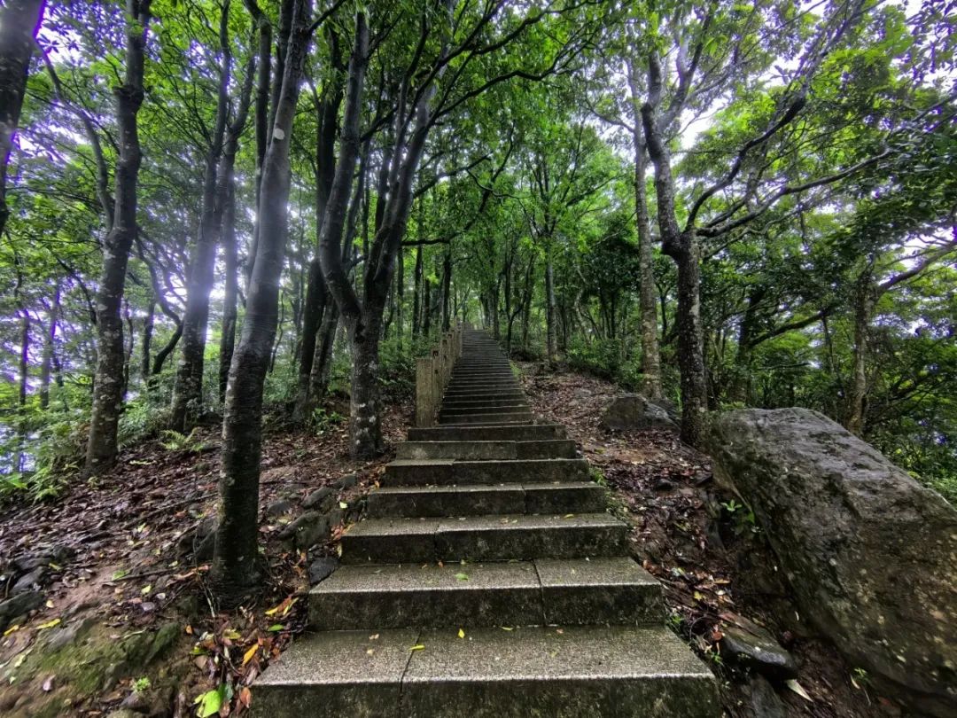 🤩看绝美日落！快来get梧桐山登山攻略！