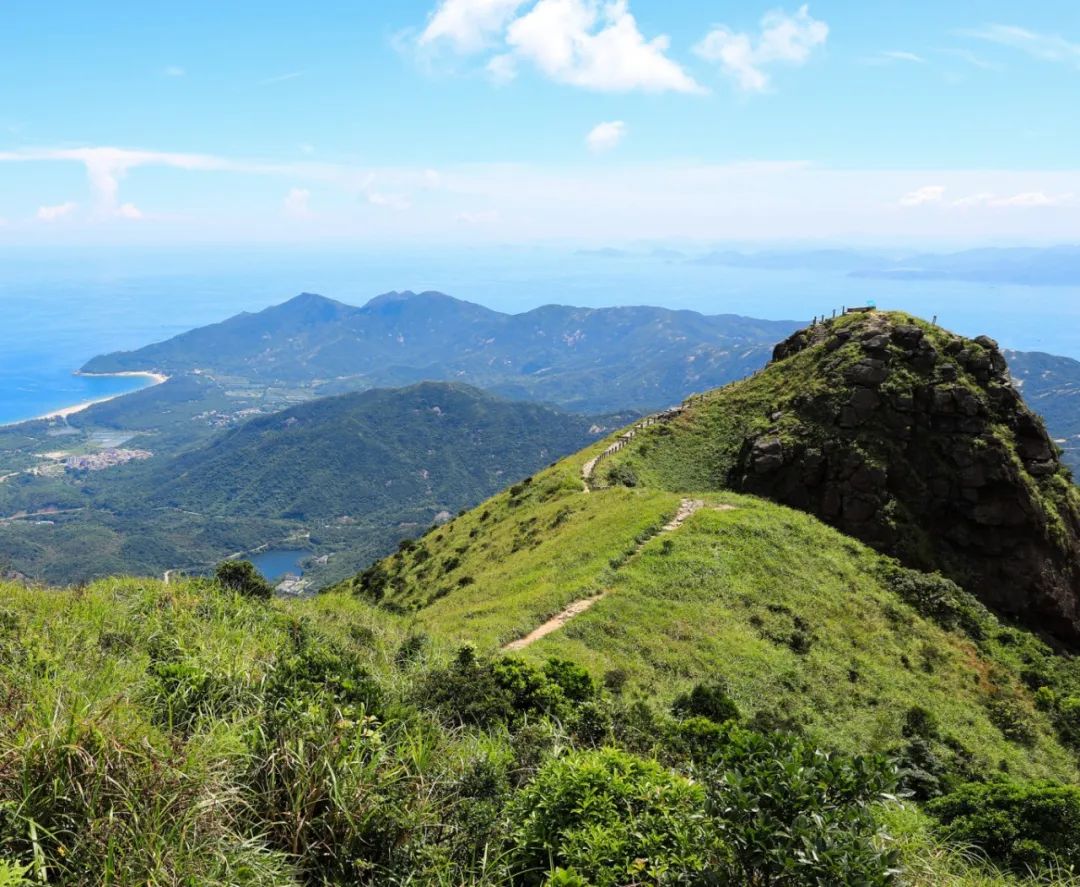 一秒圈“粉”！秋日限定浪漫花海，原来在这里