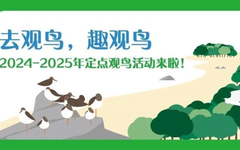 去观鸟，趣观鸟：2024-2025年定点观鸟活动来啦！