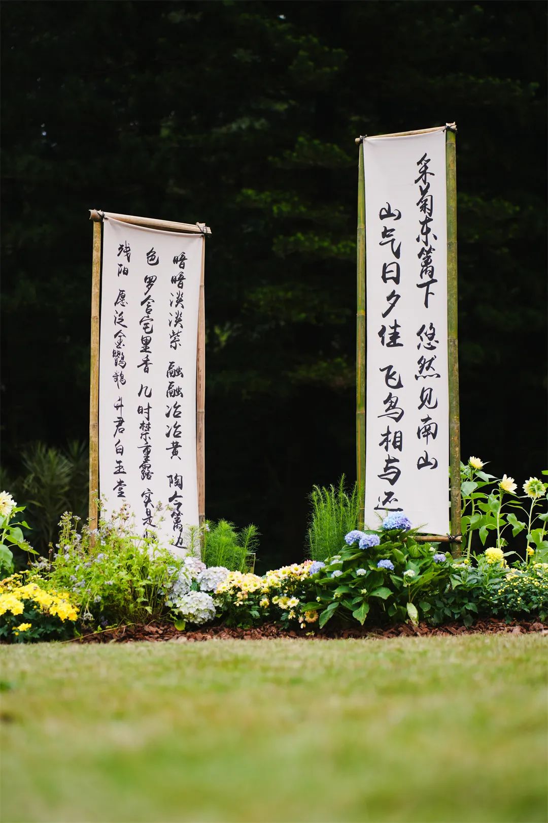 「秋花集」周末文化活动预告 | 花海与古风共舞，花香与诗意醉人