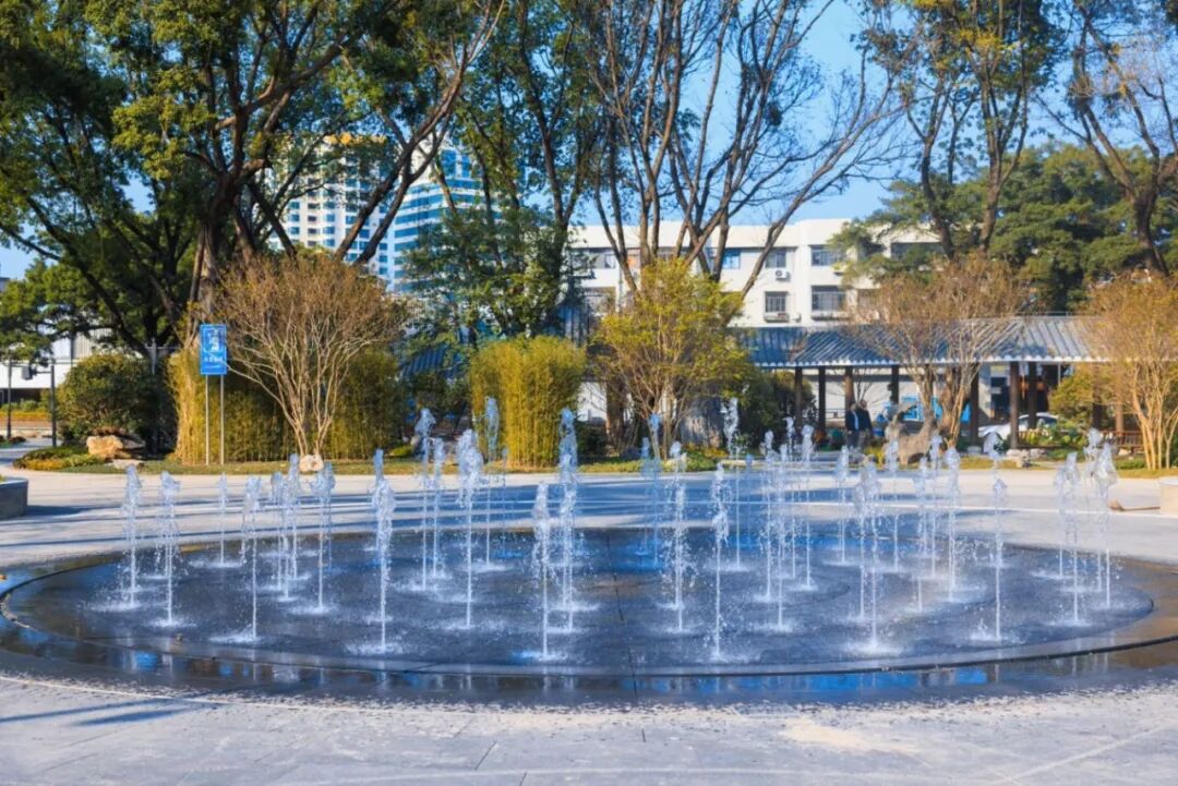 就在今天，龙华公园焕新开园！