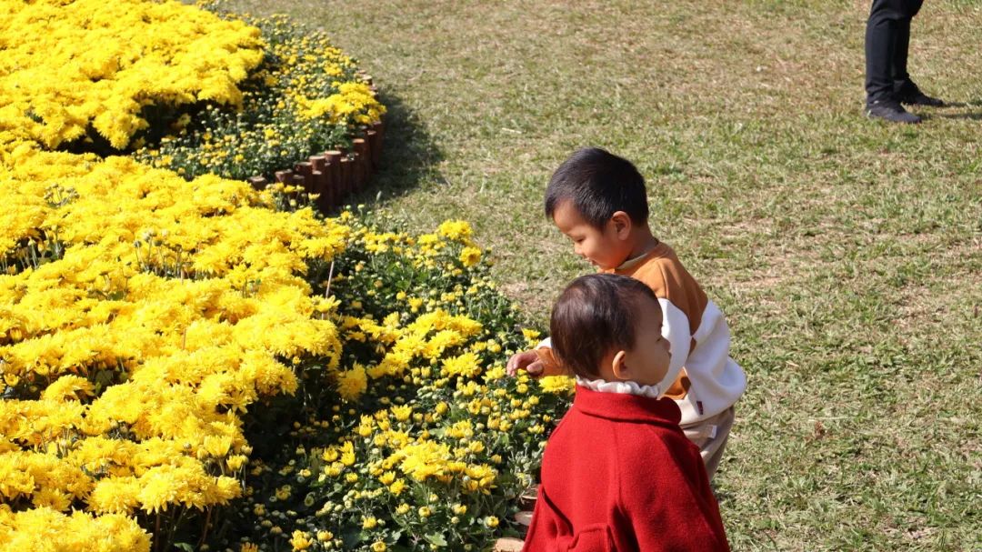 报告！又有公园免费开放花会了！