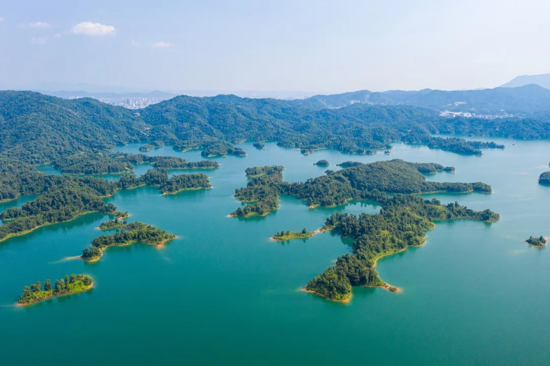 1月1日—7日，5A级万绿湖邀请全国人民预约免费游