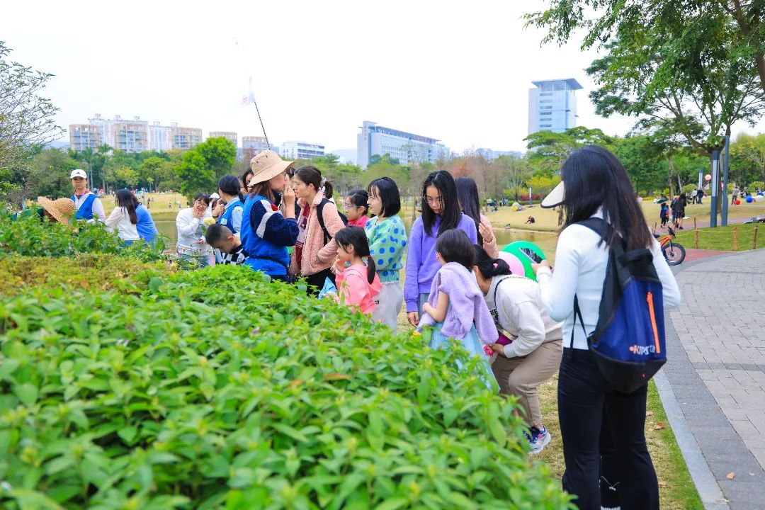 2025 深圳春花集·月季赏香蜜公园分会场大揭秘！