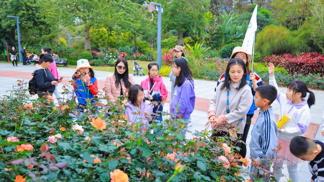 2025 深圳春花集·月季赏香蜜公园分会场大揭秘！