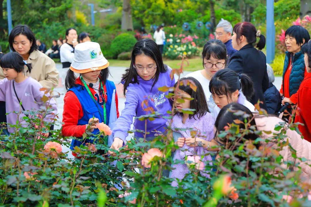 2025 深圳春花集·月季赏香蜜公园分会场大揭秘！